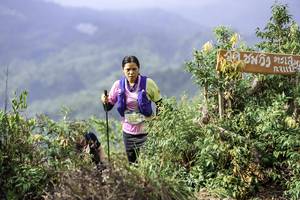 BIB: 2502
                            <button type="button" onclick="openModal(24765283)" class="btn btn-primary btn-sm float-right btn-popup" data-toggle="modal" data-target=".modal-high-quality">
                        <i class="fas fa-shopping-cart"></i> Add to Cart
                    </button>
                                            <button type="button" onclick="isThisMe(24765283, true)" class="btn btn-success btn-sm float-right btn-popup btn-isme hidden" data-toggle="tooltip" data-placement="bottom" title="นี่คือรูปของคุณใช่ไหม คลิกที่นี่เพื่อเอาเข้าอัลบั้ม">
                        <i class="fas fa-plus"></i> Add to album
                    </button>
                    <button type="button" onclick="isThisMe(24765283, false)" class="btn btn-warning btn-sm float-right btn-popup btn-isnotme hidden">
                        <i class="fas fa-ban"></i> Remove from album
                    </button>